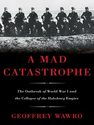 cover image of A Mad Catastrophe